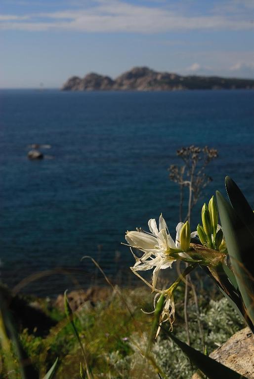 La Chicca Di Francesca Bed & Breakfast Santa Teresa Gallura Ngoại thất bức ảnh